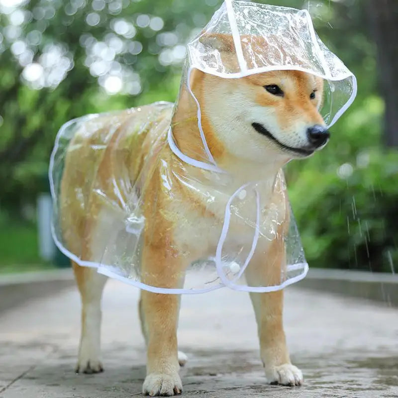 Rain Poncho